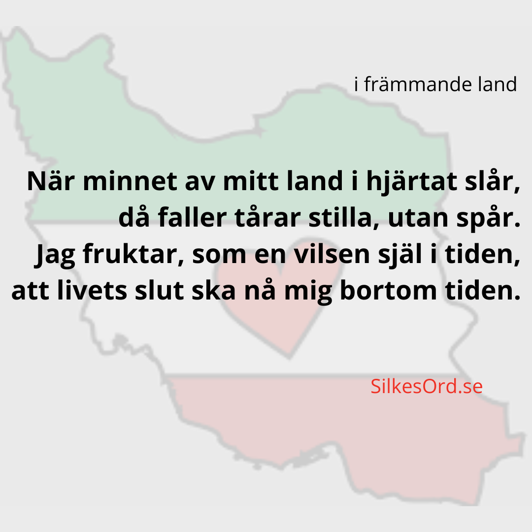 I frammande land