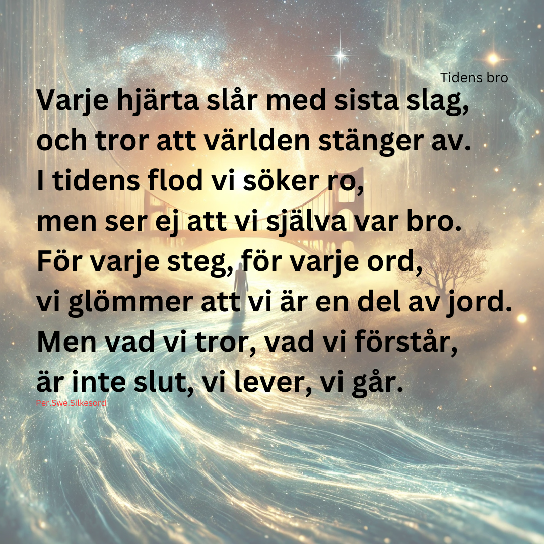 Tidens bro